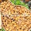 Đùi Gà Sấy Phô Mai 500g - Bánh Quẩy Giòn Tan, Thơm Ngon, Giá chỉ 22.580₫ 4