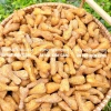 Đùi Gà Sấy Phô Mai 500g - Bánh Quẩy Giòn Tan, Thơm Ngon, Giá chỉ 22.580₫ 6