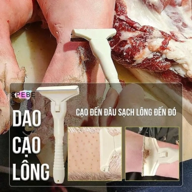 Dụng cụ cạo đa năng hộp 10 lưỡi inox Cạo lông bì heo chân giò giá chỉ 49.000 VNĐ