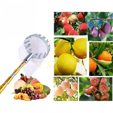 Dụng cụ gậy hái quả 6m dài, sào hái trái cây, cắt cành cao, đầu vợt 16cm - giá chỉ 65.000đ