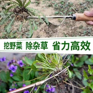 Dụng cụ nhổ cỏ cao cấp, máy nhổ rễ hiệu suất, dụng cụ vườn ngoài trời - 79.705 VND 7