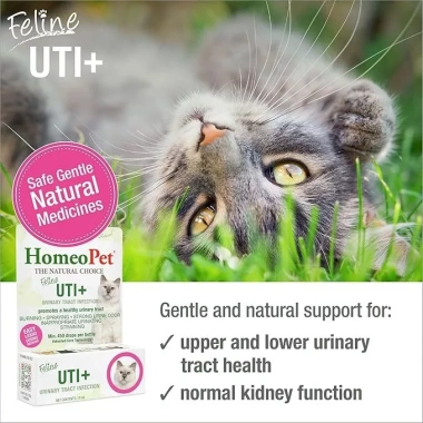 Dung Dịch Hỗ Trợ Đường Tiết Niệu & Nhiễm Trùng Mèo FELINE UTI 450 giọt 5ml - Giá 588.000₫