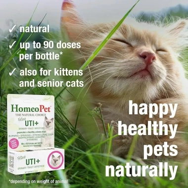 Dung Dịch Hỗ Trợ Đường Tiết Niệu & Nhiễm Trùng Mèo FELINE UTI 450 giọt 5ml - Giá 588.000₫