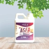 Dung dịch làm sạch khử mùi ASFA All Purpose 2L - Kháng khuẩn, giá giảm 163.000 VND 4