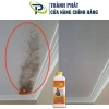 Dung dịch tẩy mốc tường, trần nhà 1L - Xóa sạch vết mốc, nhanh chóng 4
