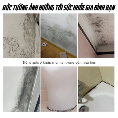 Dung Dịch Tẩy Nấm Mốc TEXLABS 500ml - Sạch tường, phòng tắm, bếp chỉ 95.000₫ 3 Dung Dịch Tẩy Nấm Mốc TEXLABS 500ml - Sạch tường, phòng tắm, bếp chỉ 95.000₫ 3