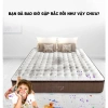 Dung Dịch Tẩy Rửa Vết Bẩn Nệm Giường, Ghế Sofa, Thảm Vải Nỉ Cao Cấp 500ml SHIMA - 95.000đ 3