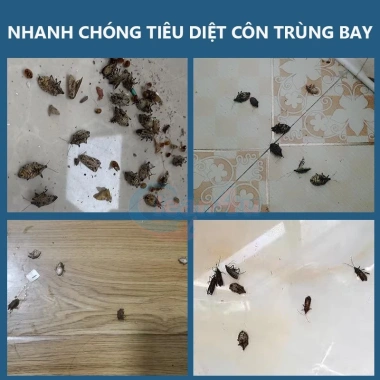 Dung dịch thuốc 500ml diệt tận gốc bọ, rết, gián lỗ thoát sàn phòng tắm, bếp - Giá 90.000đ