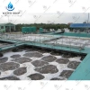 Dung dịch xử lý nước ao nuôi 30L – Diệt khuẩn nhanh, tăng hiệu quả nuôi trồng, giảm 23% 3