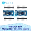 Egbo Pro TYPE-C Micro ATmega32U4 5V 16MHz – Mô-đun Leonardo USB, pin kép, giá 104.852₫