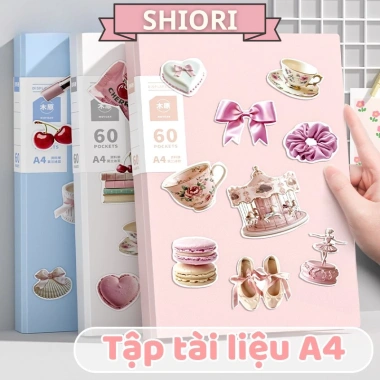 File Nhựa PP A4 Nhiều Ngăn 30/40/60 Tờ - Lưu Trữ Gọn Gàng, Chất Liệu Cứng Cáp