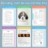 File Nhựa PP A4 Nhiều Ngăn 30/40/60 Tờ - Lưu Trữ Gọn Gàng, Chất Liệu Cứng Cáp 6