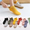 Free ship Combo 5 đôi Vớ Nữ gấu brown dễ thương - thấm hút mồ hôi, 19.000 VND