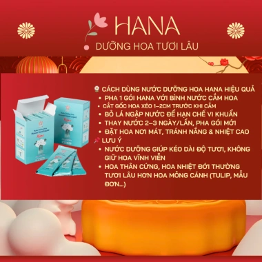 [Freeship] Nước Giữ Hoa Tươi Lâu Hana - Chống Thối Gốc, Đục Nước, Giá 47.000đ 3