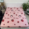 Ga Chống Thấm Cotton Hàn Quốc Nằm Trực Tiếp Thay Ga Giường Không Nóng 58.899₫ 15