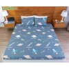 Ga Chống Thấm Cotton Hàn Quốc Nằm Trực Tiếp Thay Ga Giường Không Nóng 58.899₫ 27