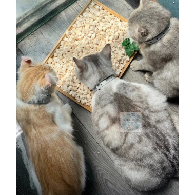 Gà Viên Pro+ Bổ Sung Lợi Khuẩn Giảm Đi Ngoài, Táo Bón, Hỗ Trợ Tiêu Hóa Cho Chó Mèo - Giá Ưu Đãi 75,050 VNĐ 4 Gà Viên Pro+ Bổ Sung Lợi Khuẩn Giảm Đi Ngoài, Táo Bón, Hỗ Trợ Tiêu Hóa Cho Chó Mèo - Giá Ưu Đãi 75,050 VNĐ 4