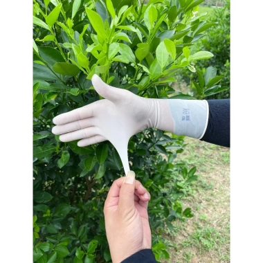 Găng tay cao su trắng 1Kg siêu dai, mềm mại, không mùi - G88 giảm giá, chỉ 55.000đ