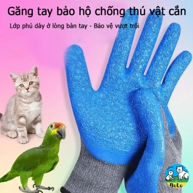 Găng tay chống cào thú cưng thoáng khí, huấn luyện chim và chăm sóc mèo, bắt sò biển
