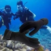 Găng tay lặn cao su tổng hợp 1,5mm chống trượt, giữ ấm, phù hợp câu cá và kayaking - 163k 3
