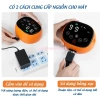 Găng tay phục hồi chức năng cho người liệt cánh tay, bàn tay sau tai biến, tai nạn - Giá ưu đãi 1.790.000đ 4