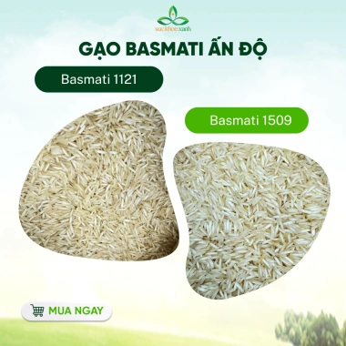 Gạo Basmati Ấn Độ 5kg – Hạt Dài Cao Cấp, Cơm Tơi Xốp, Sức Khỏe Xanh, Giá 290k 6