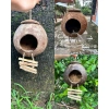 Gáo dừa tổ chim chuột sóc rắn kèm xơ dừa giữ ấm, giá ưu đãi 29.800₫