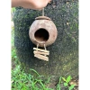 Gáo dừa tổ chim chuột sóc rắn kèm xơ dừa giữ ấm, giá ưu đãi 29.800₫ 3