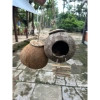 Gáo dừa tổ chim chuột sóc rắn kèm xơ dừa giữ ấm, giá ưu đãi 29.800₫ 4