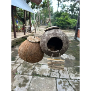 Gáo dừa tổ chim chuột sóc rắn kèm xơ dừa giữ ấm, giá ưu đãi 29.800₫ 4 Gáo dừa tổ chim chuột sóc rắn kèm xơ dừa giữ ấm, giá ưu đãi 29.800₫ 4