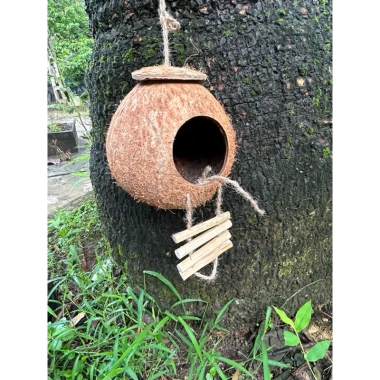 Gáo dừa tổ chim chuột sóc rắn kèm xơ dừa giữ ấm, giá ưu đãi 29.800₫