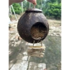 Gáo dừa tổ chim chuột sóc rắn kèm xơ dừa giữ ấm, giá ưu đãi 29.800₫ 8