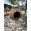 Gáo dừa tổ chim chuột sóc rắn kèm xơ dừa giữ ấm, giá ưu đãi 29.800₫ 9