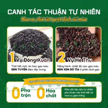 Gạo Lứt Đen Organic Việt Thái 1kg, ít calo, không cần ngâm, mềm dẻo, Eat Clean