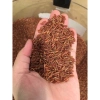 Gạo lứt huyết rồng 1kg - Nguyên chất, giàu dinh dưỡng, giảm giá 22% chỉ 36.000₫