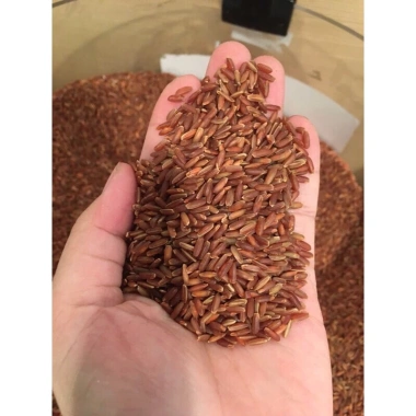 Gạo lứt huyết rồng 1kg - Nguyên chất, giàu dinh dưỡng, giảm giá 22% chỉ 36.000₫