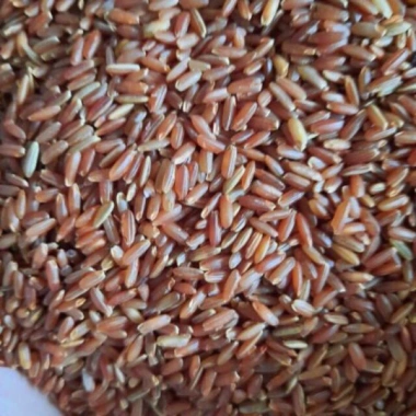 Gạo lứt huyết rồng 1kg - Nguyên chất, giàu dinh dưỡng, giảm giá 22% chỉ 36.000₫