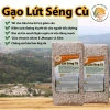 Gạo Lứt Séng Cù Dài Điện Biên 1Kg - Hút Chân Không, Giảm 45.000₫, Thơm Ngon