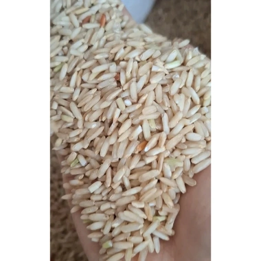 Gạo Lứt Séng Cù Dài Điện Biên 1Kg - Hút Chân Không, Giảm 45.000₫, Thơm Ngon