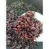 Gạo Lứt Tím Than Điện Biên 5kg (5 Túi 1kg Hút Chân Không) Giá Ưu Đãi 150.000 VND 5