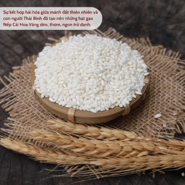 Gạo Nếp Cái Hoa Vàng 10kg Thái Bình - Độ Dẻo Cao, Thơm Ngọt, Nấu Xôi & Làm Bánh, Giá 465.000đ Giảm Giá