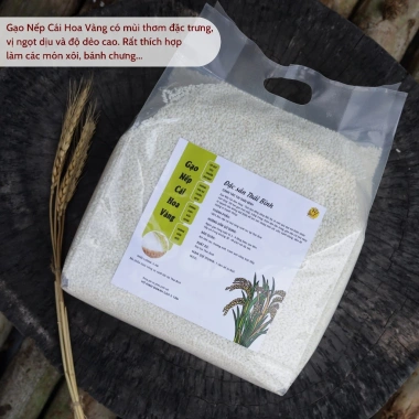 Gạo Nếp Cái Hoa Vàng 10kg Thái Bình - Độ Dẻo Cao, Thơm Ngọt, Nấu Xôi & Làm Bánh, Giá 465.000đ Giảm Giá