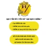 Gạo Nếp Cái Hoa Vàng 10kg Thái Bình - Độ Dẻo Cao, Thơm Ngọt, Nấu Xôi & Làm Bánh, Giá 465.000đ Giảm Giá 5