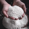 Gạo Nếp Cái Hoa Vàng 1kg Độ Dẻo Cao, Thơm Ngọt Dịu, Lý Tưởng Nấu Xôi & Gói Bánh Chưng, Giá 41,125 VND 2