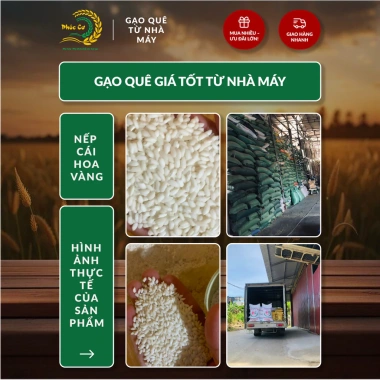 Gạo Nếp Cái Hoa Vàng 20KG (3,5 tháng) Dẻo Thơm Chuẩn Quê - Nấu Xôi, Làm Bánh, Giá 360.000