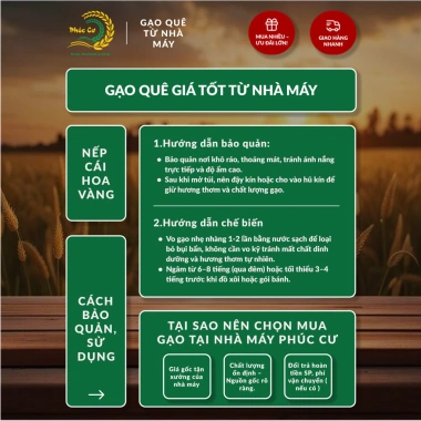 Gạo Nếp Cái Hoa Vàng 20KG (3,5 tháng) Dẻo Thơm Chuẩn Quê - Nấu Xôi, Làm Bánh, Giá 360.000 6 Gạo Nếp Cái Hoa Vàng 20KG (3,5 tháng) Dẻo Thơm Chuẩn Quê - Nấu Xôi, Làm Bánh, Giá 360.000 6