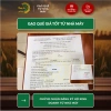 Gạo Nếp Cái Hoa Vàng 20KG (3,5 tháng) Dẻo Thơm Chuẩn Quê - Nấu Xôi, Làm Bánh, Giá 360.000 7