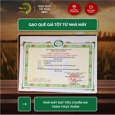 Gạo Nếp Cái Hoa Vàng 20KG (3,5 tháng) Dẻo Thơm Chuẩn Quê - Nấu Xôi, Làm Bánh, Giá 360.000