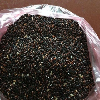 Gạo nếp cẩm 1kg - Giá ưu đãi 32.000₫ (giá gốc 40.320) - Ngon, dẻo, dinh dưỡng