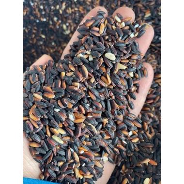 Gạo nếp Cẩm điện biên 5kg (5 túi 1kg) - Giá chỉ 195k, thơm ngon, chất lượng